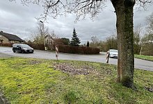 Charlottenburger Straße - Seda Hagemann