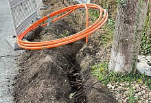 antrag-baumschutz-2 - Stefan Zibart