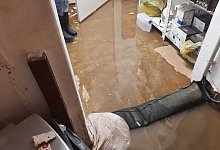 keller-limberg-3 - Anja Limberg