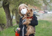 Was w&auml;hrend der Quarant&auml;ne verboten ist? Unter anderem der Hundespaziergang. - Symbolfoto