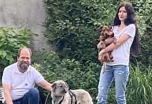 SL Hund Fluffy Gruppe - Cordula Gr&ouml;ne