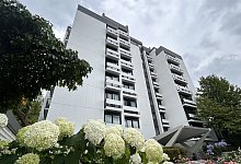 Denkmal Rosenstra&szlig;e 6 - 1 - Alexandra Schaller