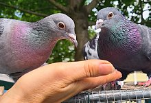 _img_20210523_161028_576 - Katharina Wiesenack