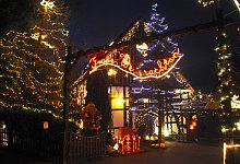 NIC_1481-252176092 - NICOLE ELLERBRAKE