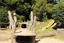 img_4850 - Chiara Wibbeke