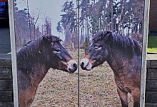 lopshorner-weg - Heimatverein Augustdorf