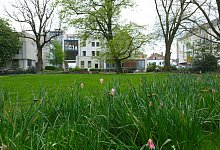 dscf9414 - Sven Koch