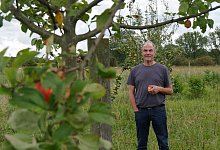 p1350948 - Jost Wolf