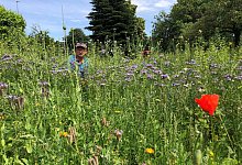 Uwe 1 - Sven Kienscherf