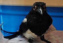 240429-1746-470681056 - NW