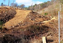 mtb-strecke-naturfreunde - Gunter Held