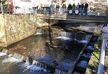 sa_salze - Thomas Reineke