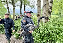 IMG_3853 - Stefan Becker