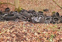 20231218_160521 - 1 - Antje Pott