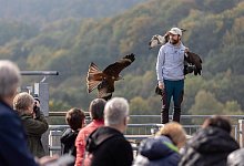 Flugshow Adlerwarte - Stadt Detmold/Torben Gocke