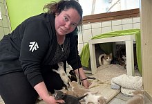 img_0910 - Sven Kienscherf