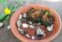 img_20220617_102628__2_ - Kerstin Schn&uuml;cker