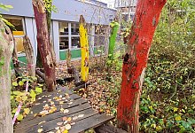 20221118_111454 - Marianne Schwarzer