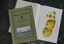 presse-digitalisierung - BUND Lemgo