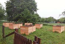 orighight130t2932998506518382982img - Leader-Region