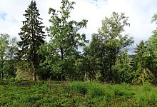 Knickenhagen - Biologische Station Lippe