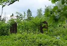 P1030415 - Rainer L&uuml;bking