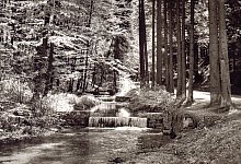 Berlebecker Quellen - Stadtarchiv Detmold