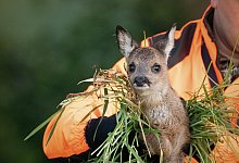 tys_9364 - Yvonne Streib