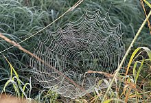 img_1919 - Silke Buhrmester