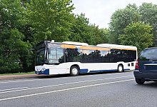 20230808_091448 - Carolin Brokmann-F&ouml;rster