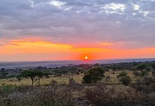 20210701_064944_resized-f66c40ec - Wilfried Zielke