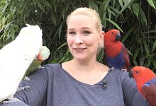 dt-vogelpark-caro - LAURENT OHMANSIEK