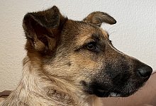 img_3054 - Silvia Dober