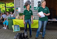 dsc03355 - rw-system