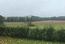 Zwiebelacker - 1 - Anneke Quasdorf