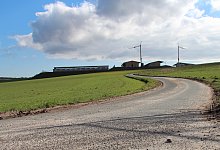 Auf dem Hohen Felde - Nadine Uphoff