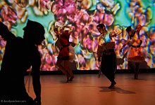 dansart-company - &copy; 2014 david poertner