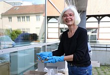 Landesmuseum - Alexandra Schaller