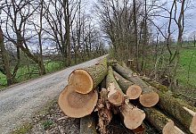 20240322_122624 - Marianne Schwarzer