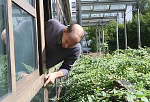 img_1042 - Archivfoto: Martin Hostert