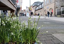 img_5170 - Jana Beckmann