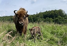 img_1061_ji - Jan Preller