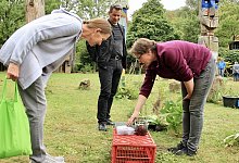 BUZ1_hst - Heidi Stork