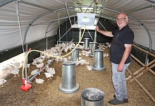 Bis zu 340 H&uuml;hner h&auml;tten Platz in dem Folientunnel. Johannes Lohmann h&auml;lt aber nur 300 Tiere in dem gut isolierten Geh&auml;use. - Uwe M&uuml;ller