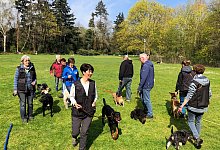 sa_hund2 - Thomas Reineke