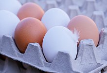 eggs-7478859 - Pixabay