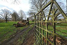 heidenolden - Archivfoto: Sven Koch