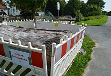 hornissennest-007-2 - BUND Lemgo