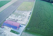 huhn-grun - Familie Horn