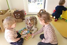 2024-03-15_padagogin-auf-vier-pfoten-hailey-begeistert-kinder-der-johanniter-kita-burg-adebar2 - Johanniter Lippe-H&ouml;xter